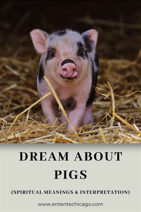 The Biblical Significance of a Herd of Wild Pigs in a Dream